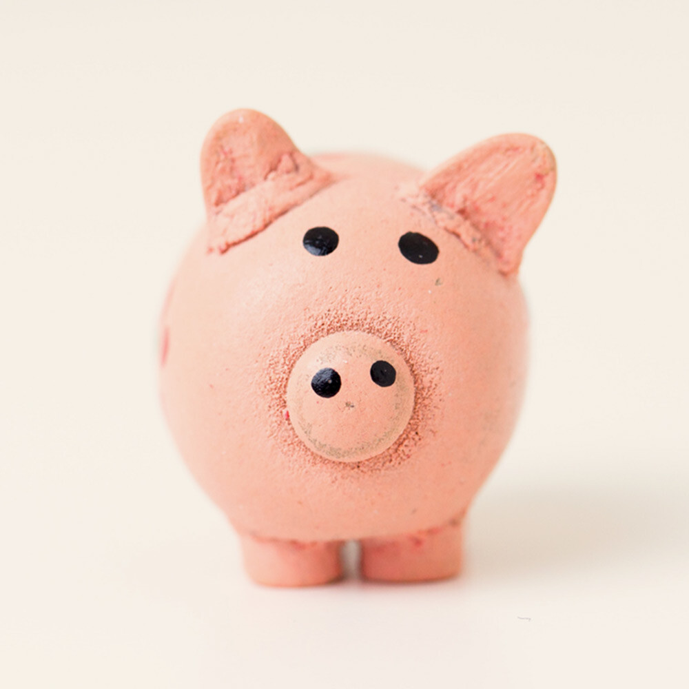 Piggy bank